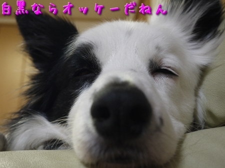 tv03.jpg