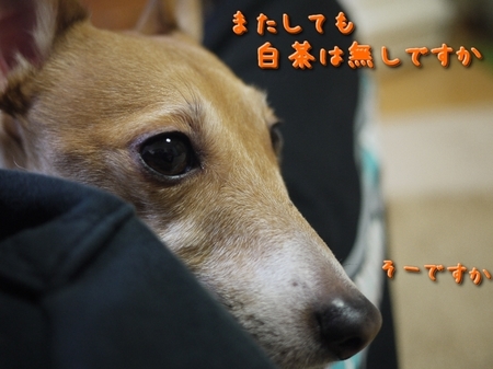 tv04.jpg
