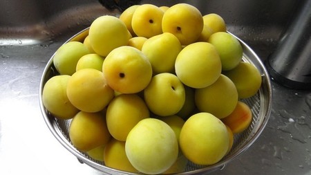 ume01.jpg