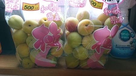 ume01.jpg