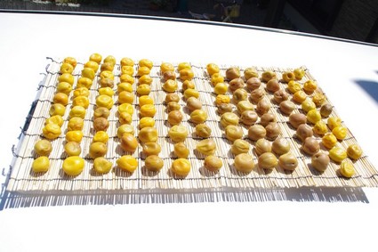 umebosi01.jpg