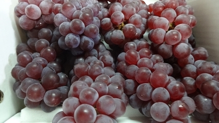 umebosi03.jpg