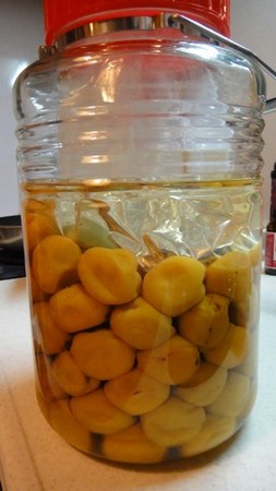 umebosi03.jpg