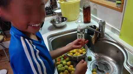 umebosi03.jpg