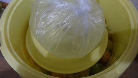 umebosi04.jpg