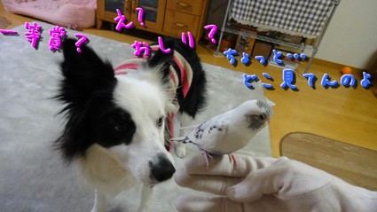 uta04.jpg
