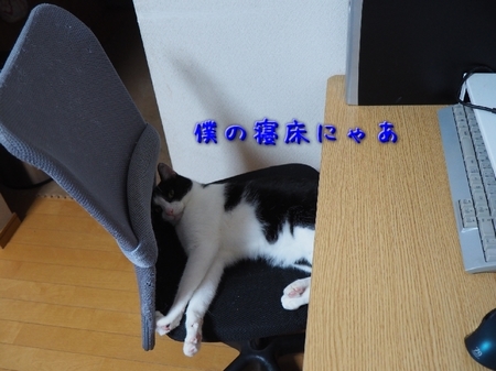 ware02.jpg