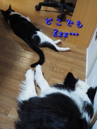 ware03.jpg