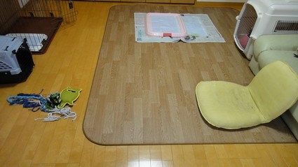 wax02.jpg