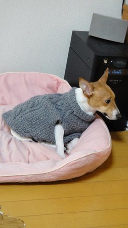 woof02.jpg