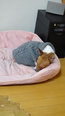 woof03.jpg