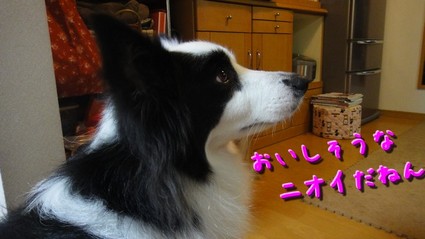 yama01.jpg