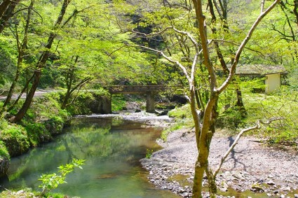 yano2niti07.jpg