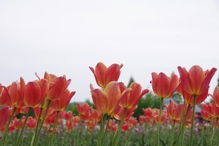 yanosec04.jpg