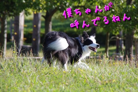 yobimodosi04.jpg