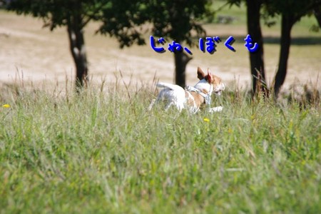 yobimodosi05.jpg