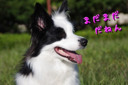yobimodosi08.jpg