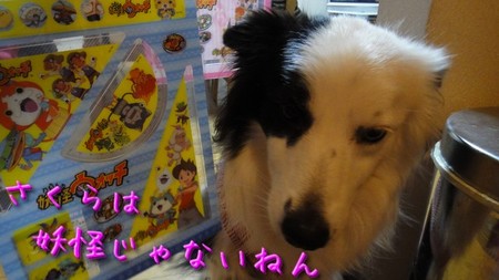 youkai02.jpg
