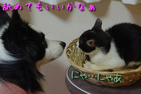 youkai04.jpg