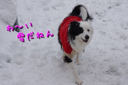 yuki03.jpg