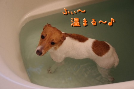 yuki05.jpg