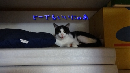 zensi04.jpg