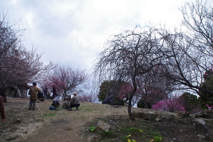 ume08.jpg